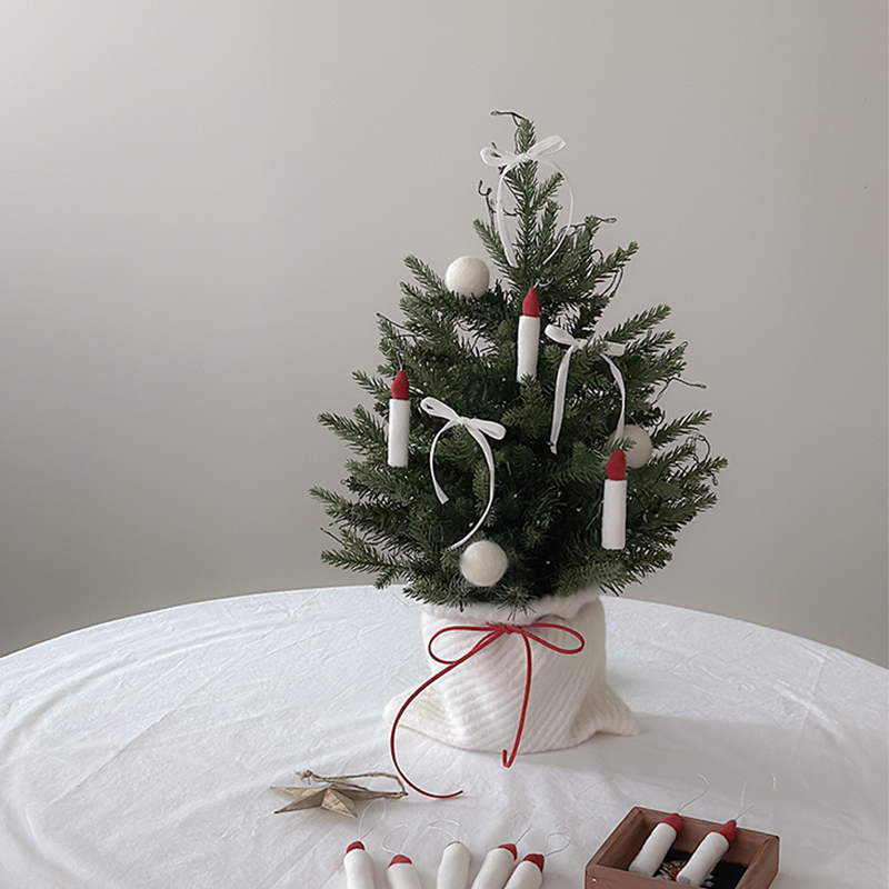 뿤̴Ʈ ĵʸƮ ǮƮ(45cm)(ũ)